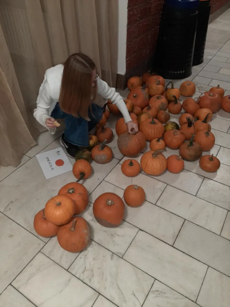 11. 10. 2024 Oranžové odpoledne, Komárov