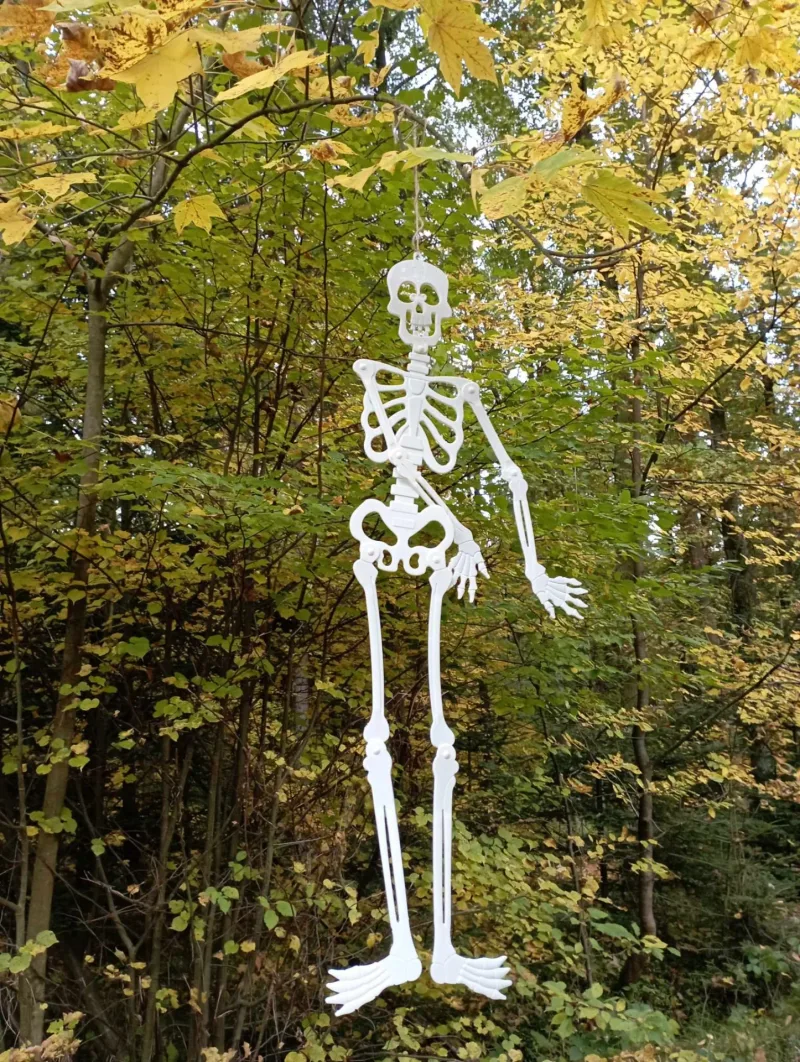 18. 10. 2024 Halloween pro nebojsy