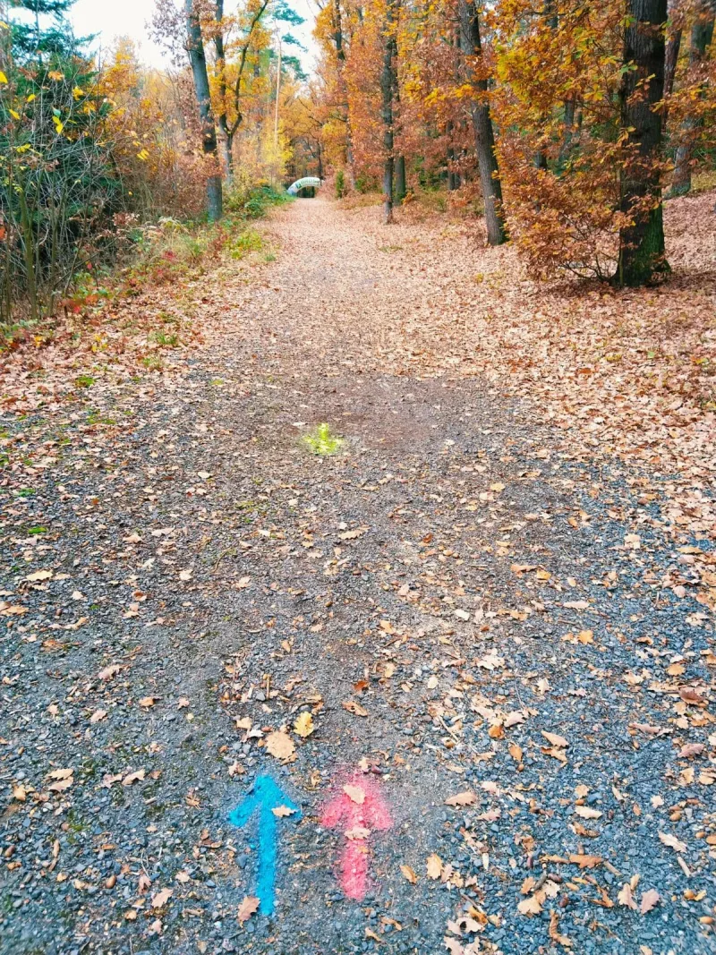 2. 11. 2024 39. ročník BĚHU PODZIMNÍ DRAŽOVKOU