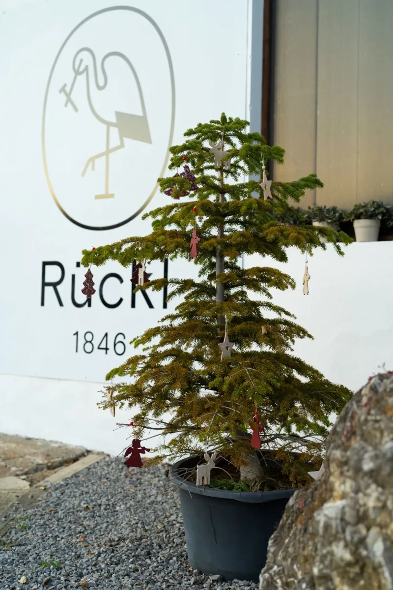 30. 11. a 6. 12. 2024 Adventní akce ve Sklárně Rückl