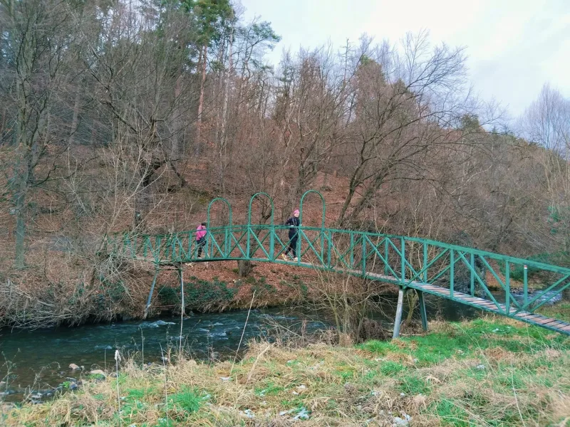 15. 12. 2024 Běhovýlet z Jinec na Studený vrch