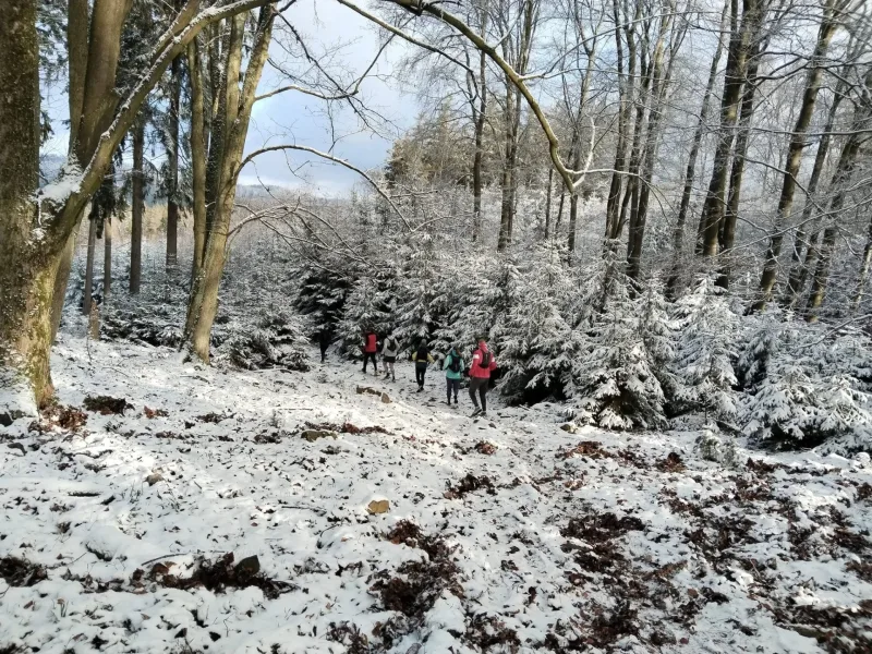 15. 12. 2024 Běhovýlet z Jinec na Studený vrch