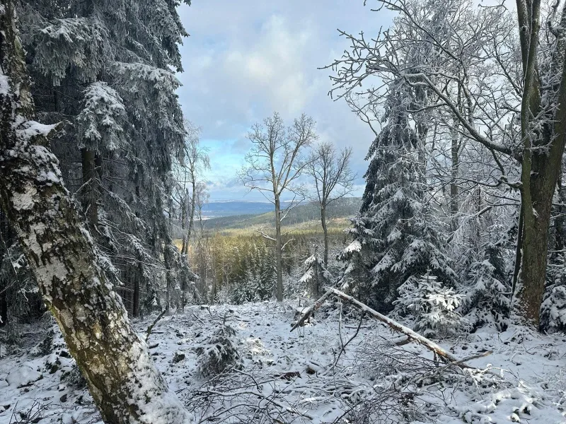 15. 12. 2024 Běhovýlet z Jinec na Studený vrch