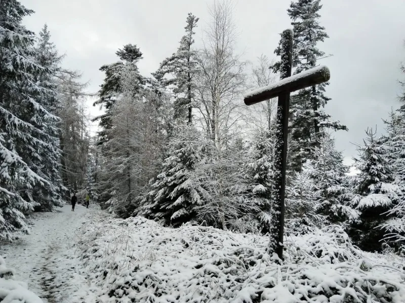 15. 12. 2024 Běhovýlet z Jinec na Studený vrch