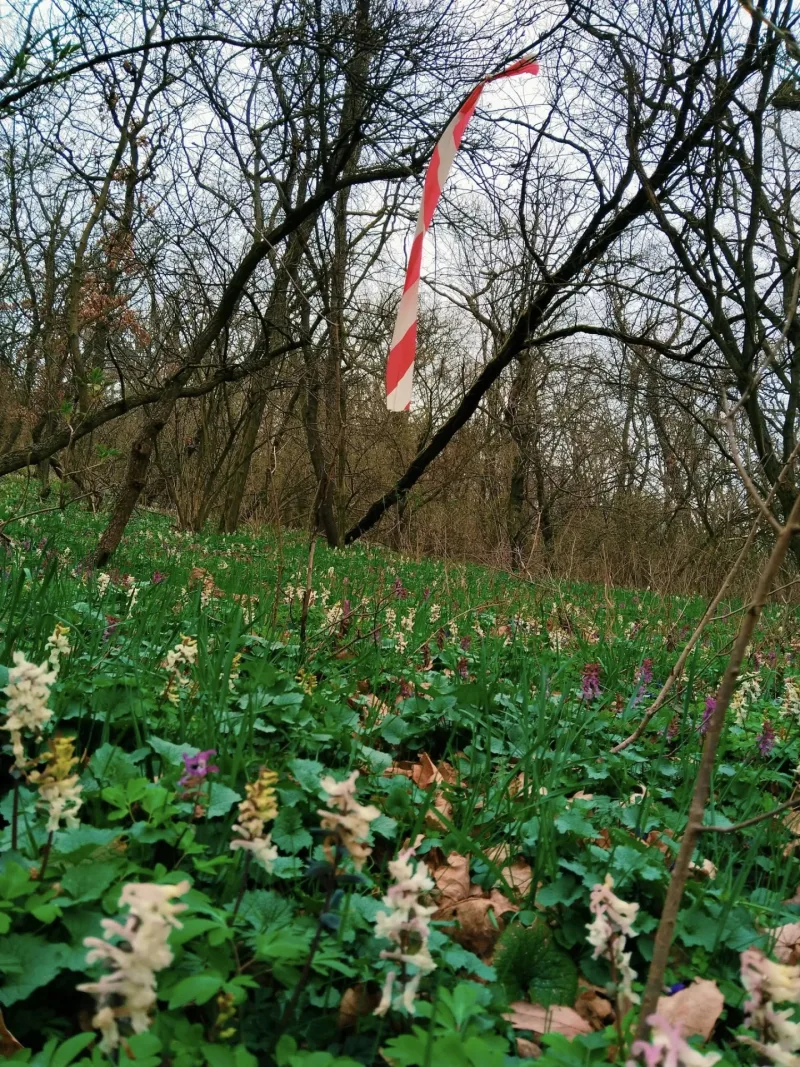 30. 3. 2025 3. ročník běhu KROS okolo Otmíčské hory