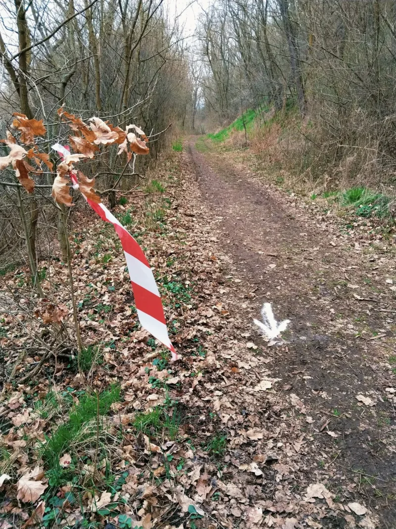 30. 3. 2025 3. ročník běhu KROS okolo Otmíčské hory