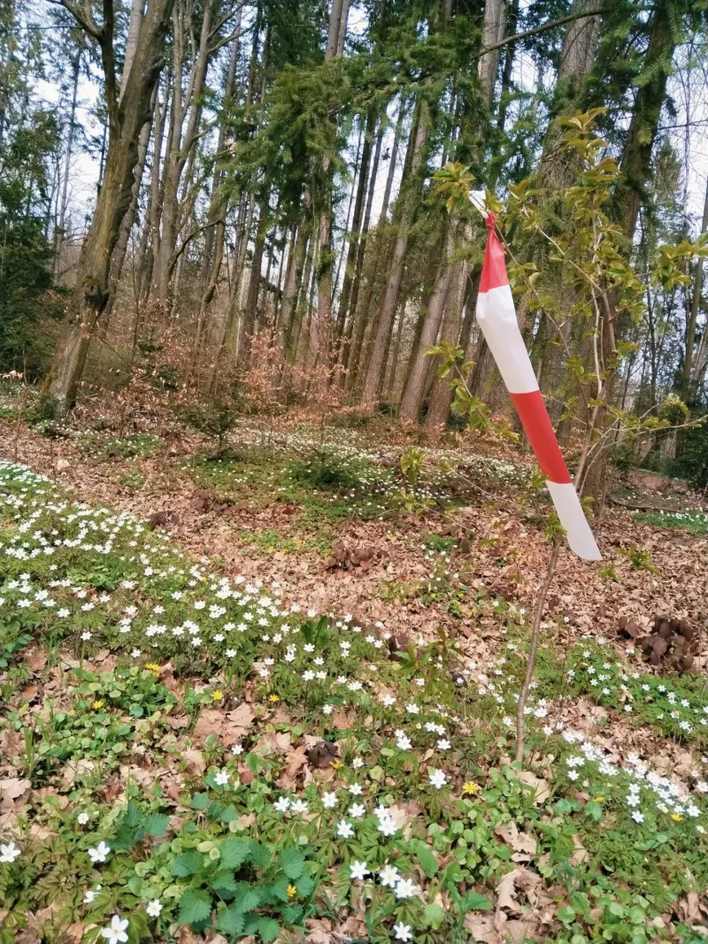 38. ročník BĚHU JARNÍ DRAŽOVKOU
