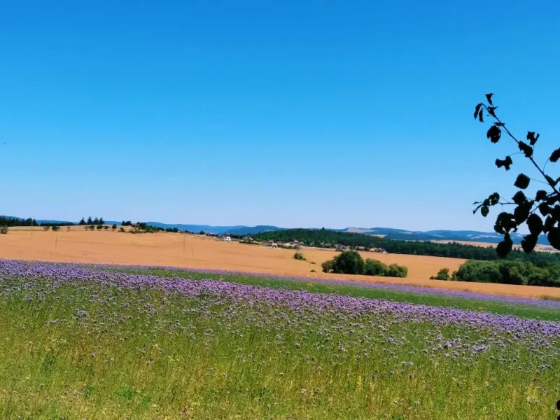 30. 6. - 4. 7. 2025 PŘÍMĚSTSKÝ TÁBOR SPORTOVNĚ-TURISTICKÝ I.
