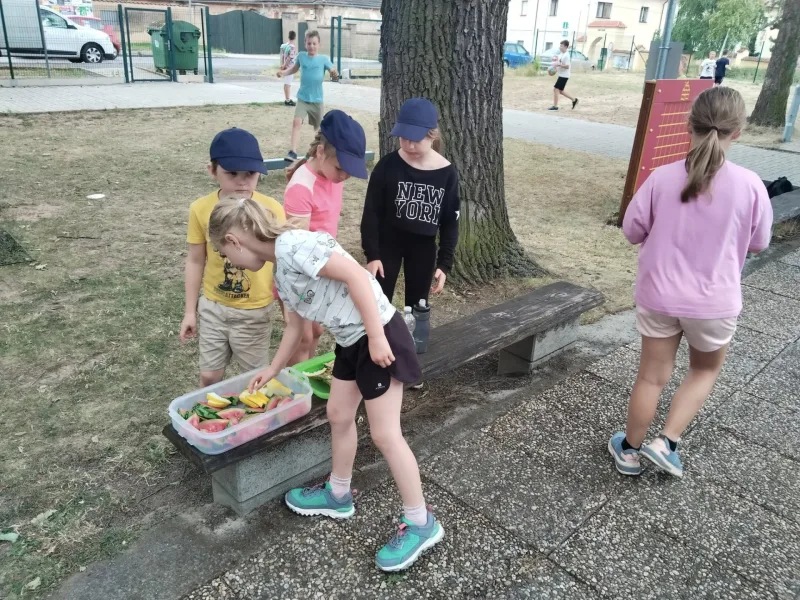 30. 6. - 4. 7. 2025 PŘÍMĚSTSKÝ TÁBOR SPORTOVNĚ-TURISTICKÝ I.