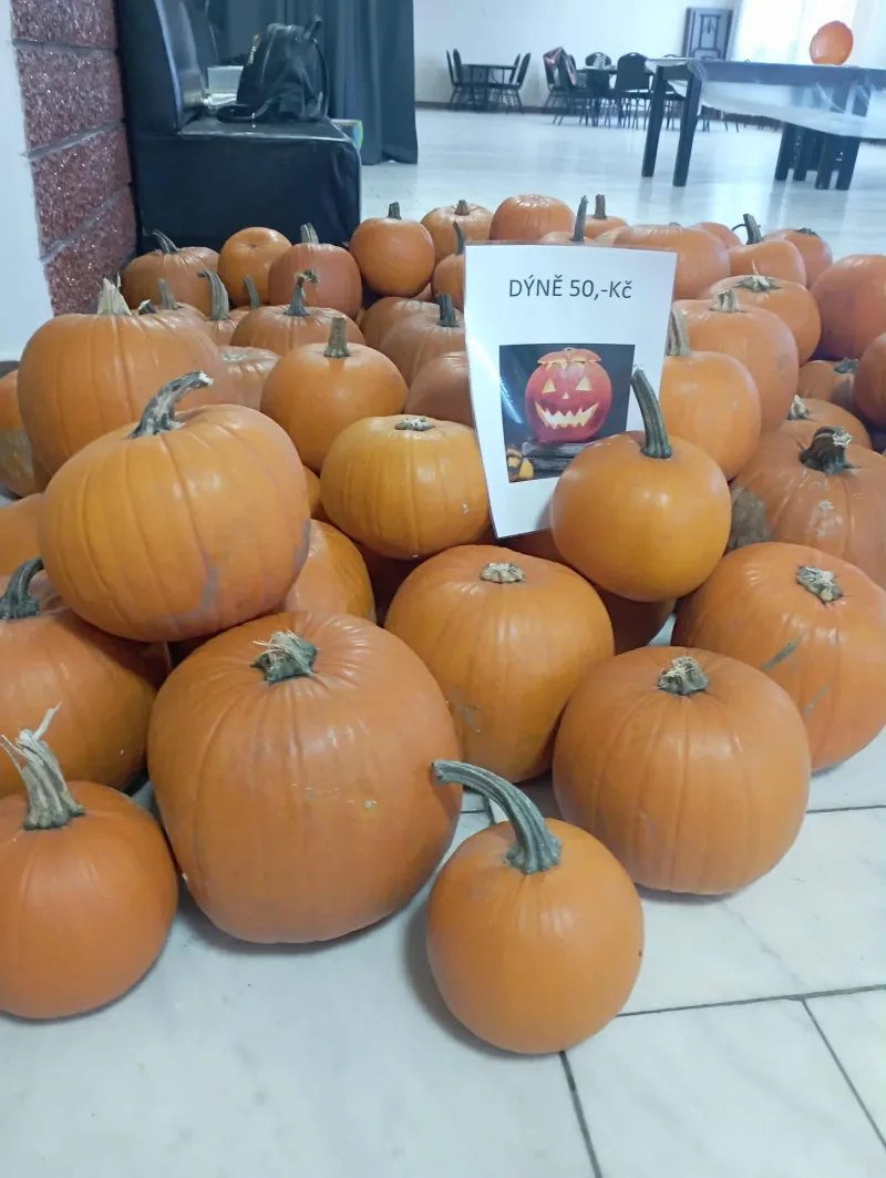 17. 10. 2025 Oranžové odpoledne