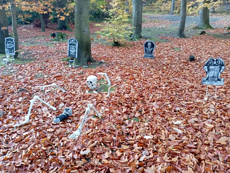 24. 10. 2025 Halloween pro nebojsy