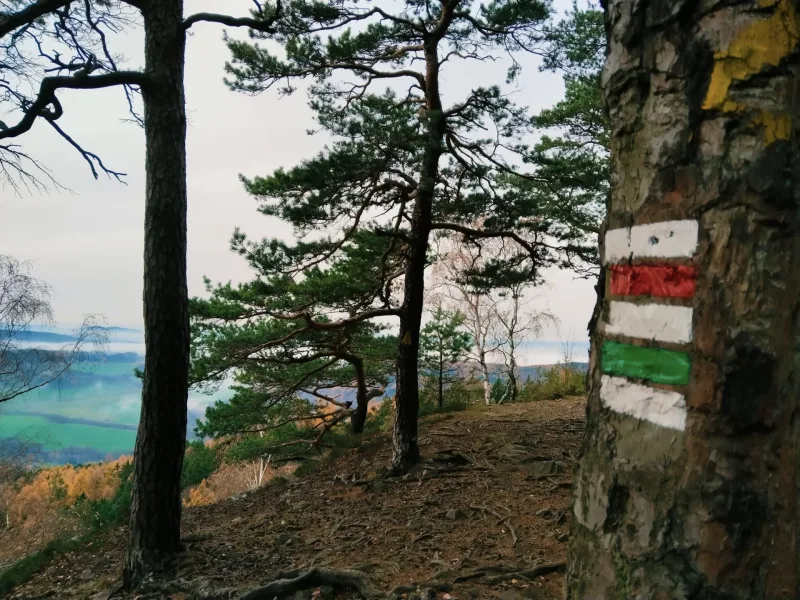 16. 11. 2025 POCHOD NA OLYMP BRD