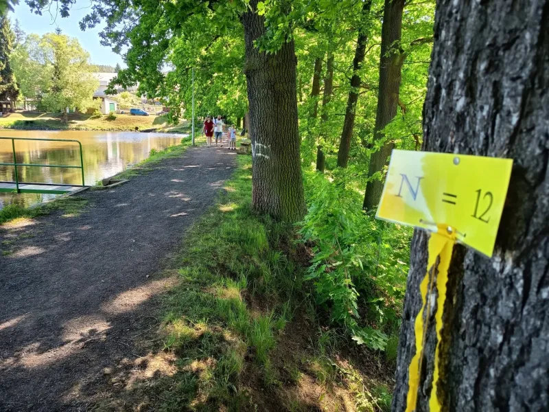 29. 5. 2026 Den dětí v Komárově