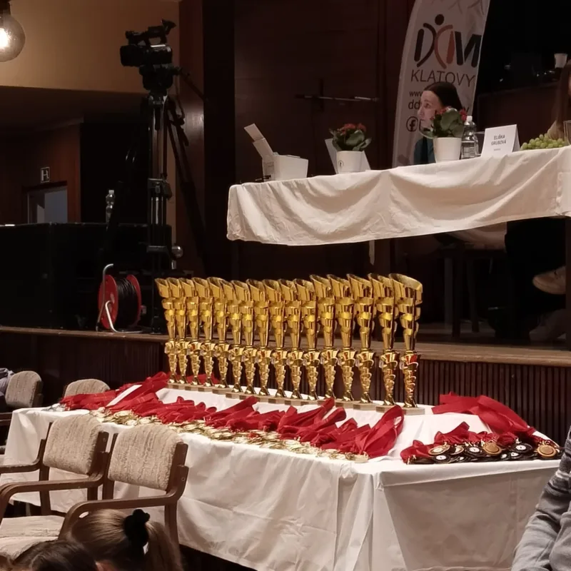 23. 3. 2024 O pohár města Klatov
