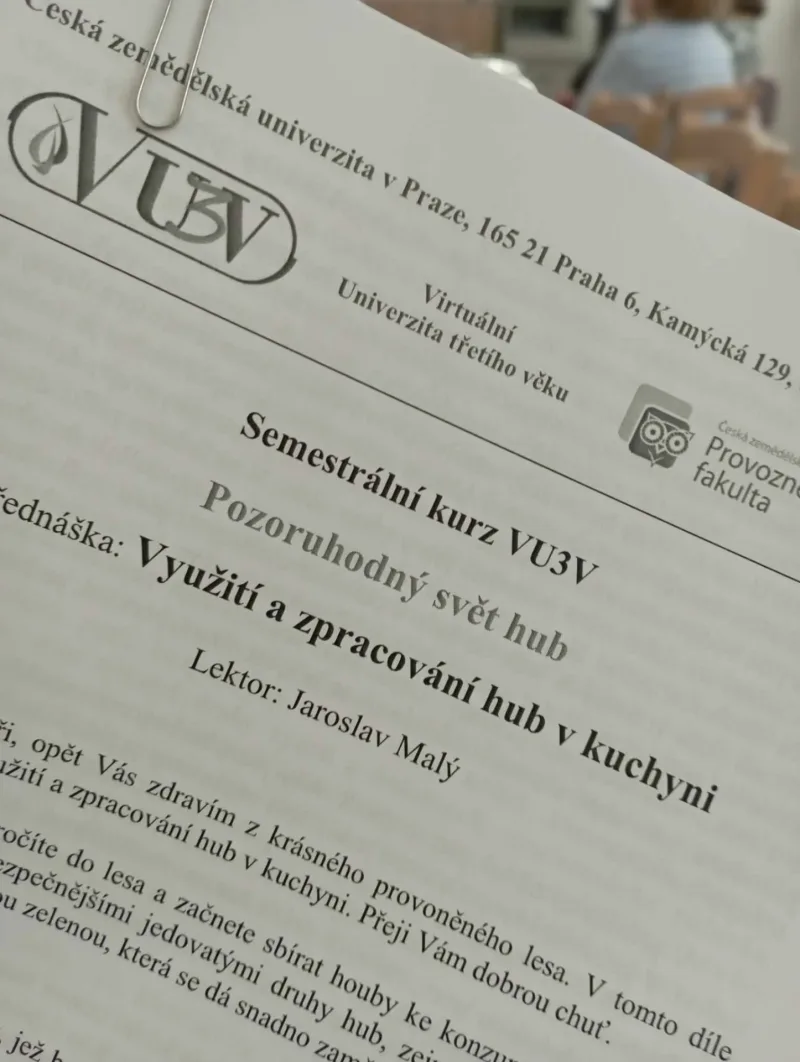 Letní semestr Virtuální univerzita třetího věku, Hořovice