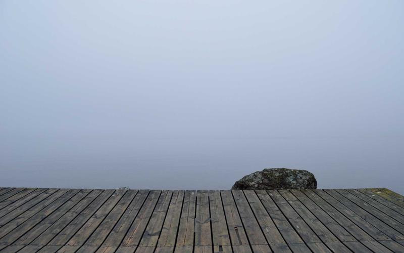 Dobrodružství v lese