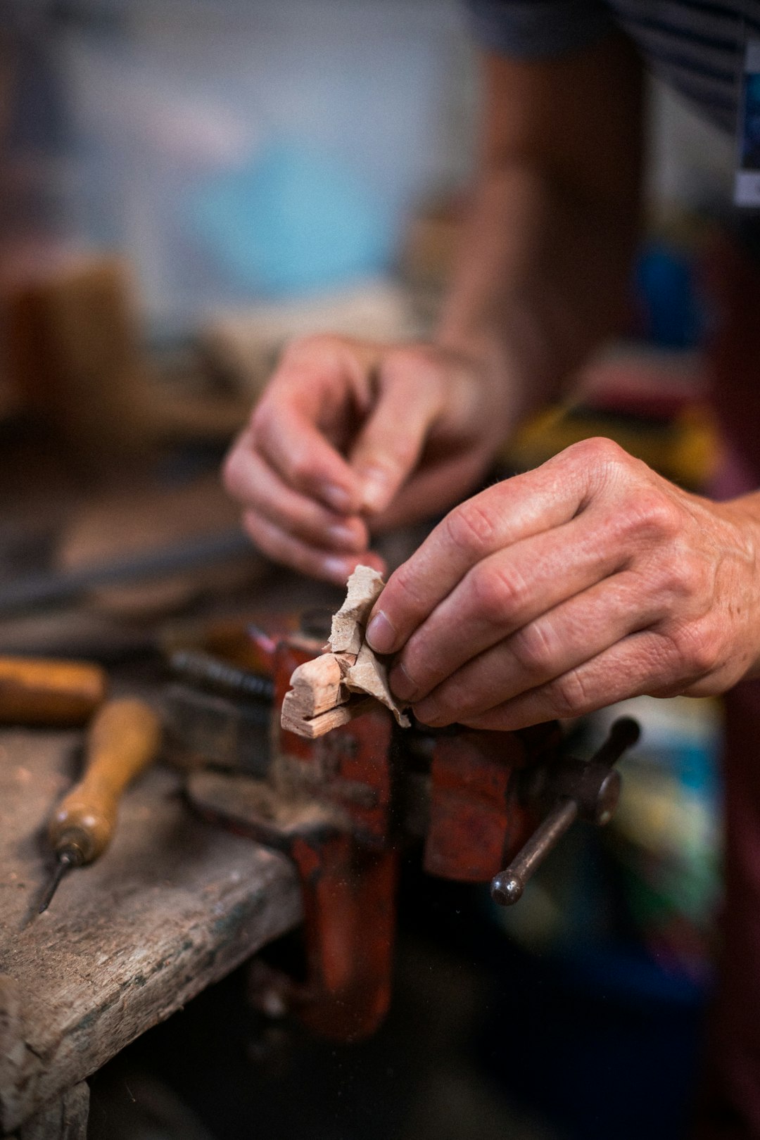 Po stopách pravěkých lidí